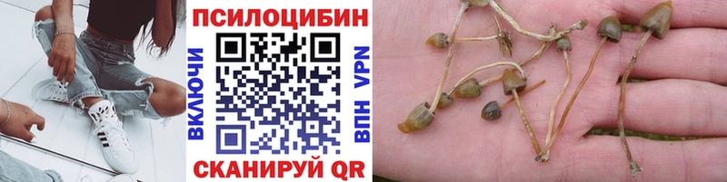 Псилоцибиновые грибы Psilocybine cubensis продажа наркотиков Волгореченск